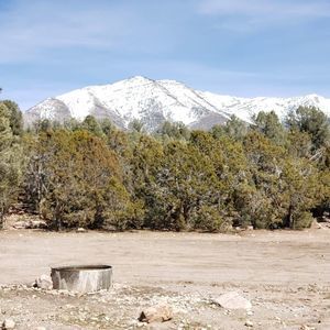 Meet your Posher, Billy